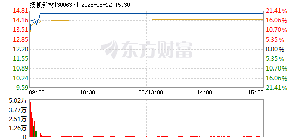 R图 300637_2
