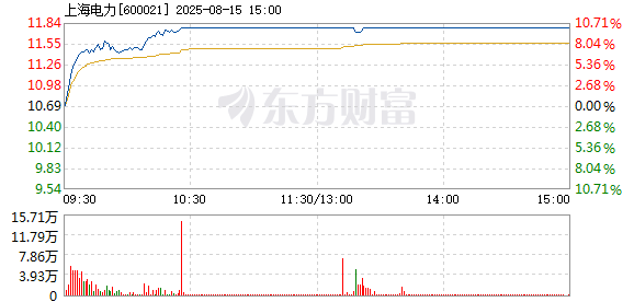 R图 600021_1
