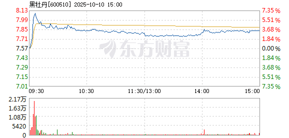 R图 600510_1