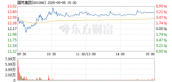 R图 601086_1
