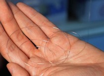 我国科学家成功研制“纤维芯片”