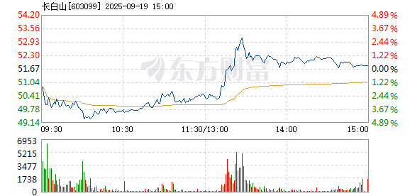 R图 603099_1