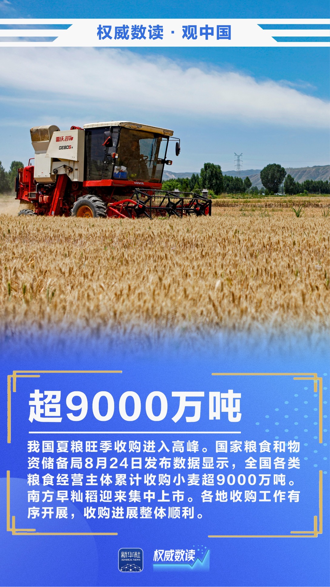 518774484506030081.jpg