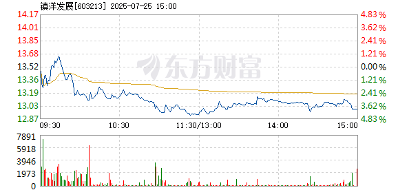 R图 603213_1