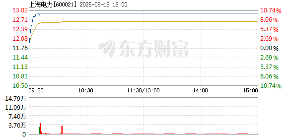 R图 600021_1
