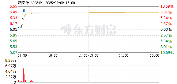 R图 600249_1