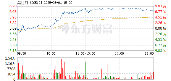 R图 600510_1