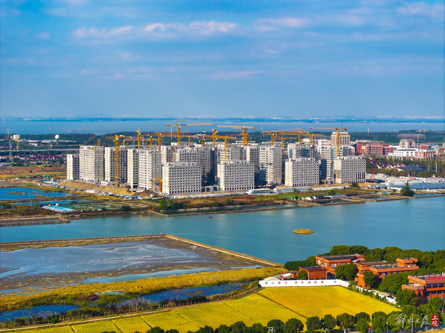 华为青浦西岑公寓项目主体结构完成建成后可入住15万人