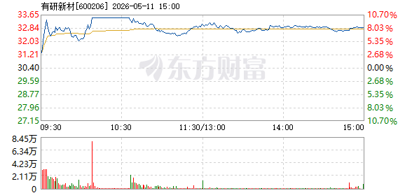 R图 600206_1