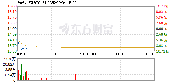 R图 600246_1