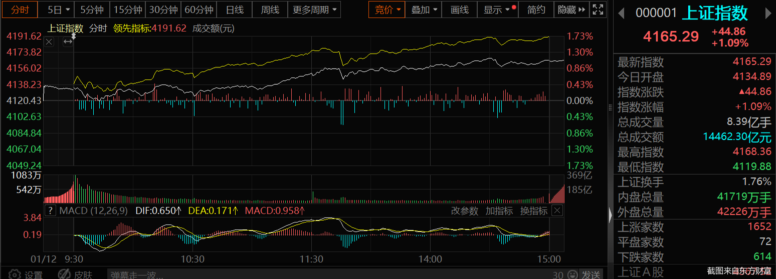 截图来自东方财富