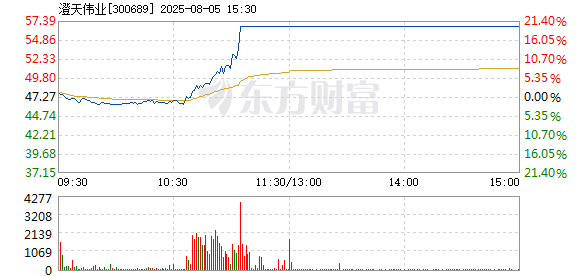 R图 300689_2