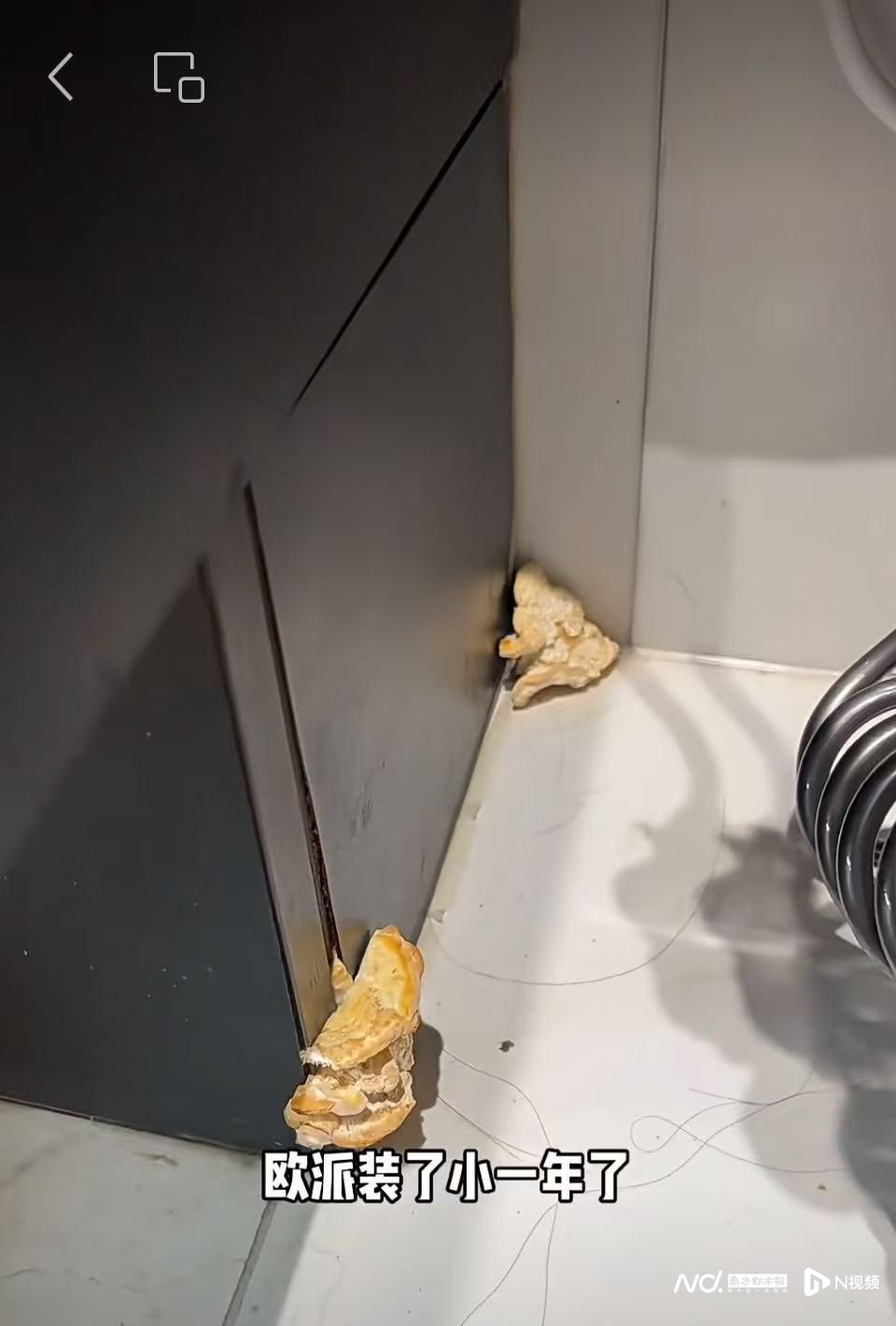 960x1420_695cccf829f97.jpg?X-Amz-Content