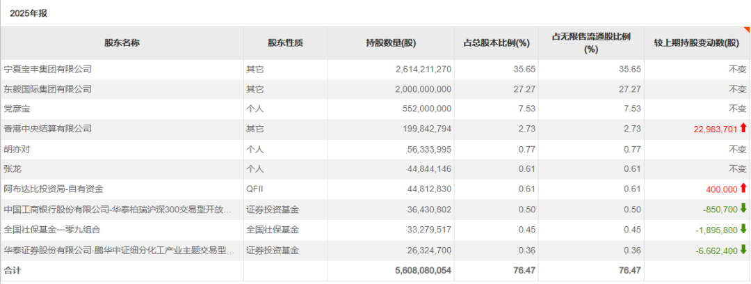 中东资金现身多只A股上市公司 买入这些标的
