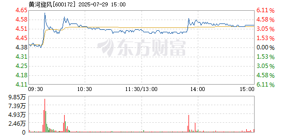 R图 600172_1