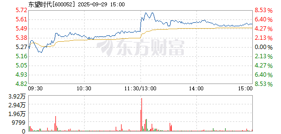 R图 600052_1