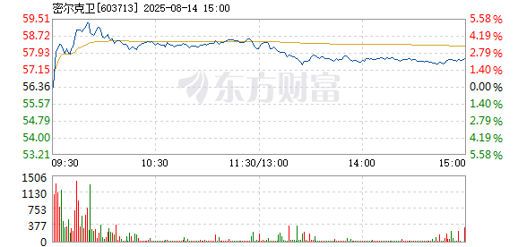 R图 603713_1