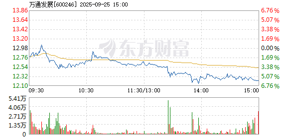 R图 600246_1