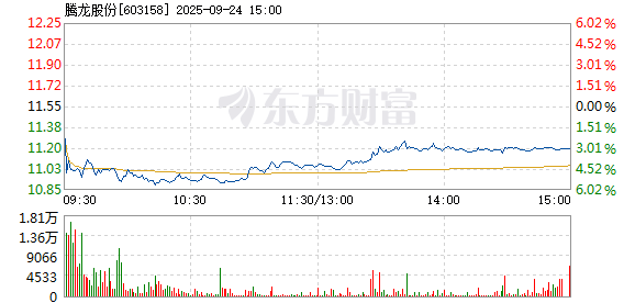 R图 603158_1