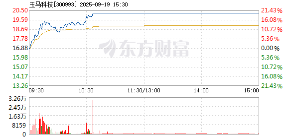 R图 300993_2