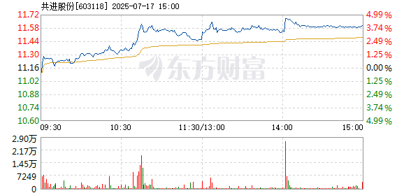 R图 603118_1