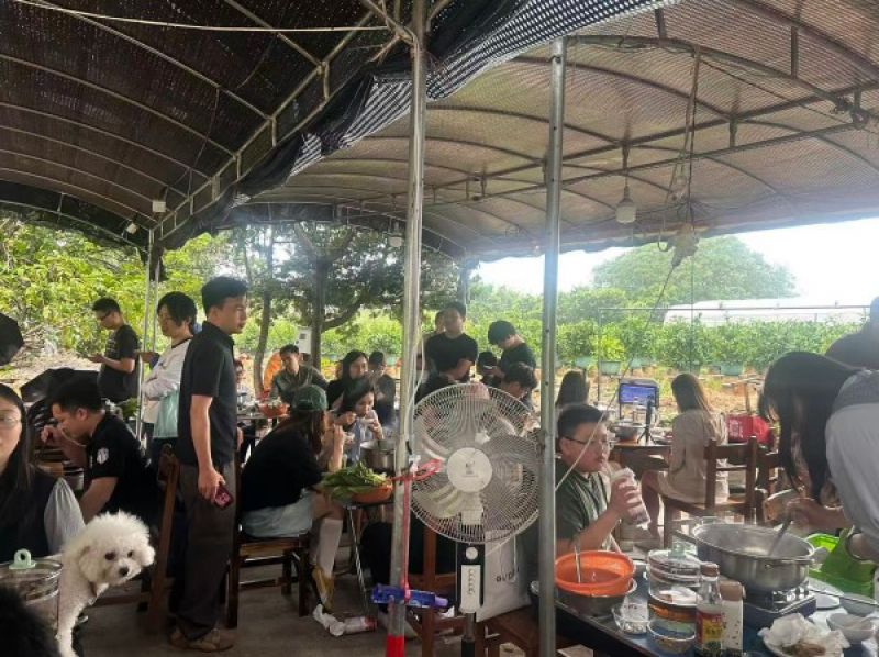 记者实探顺德陈村莫氏鸡煲:劝退式真实反向走红背后,情绪消费正成为假日经济新引擎