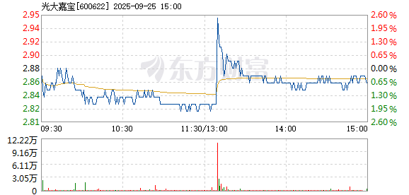 R图 600622_1