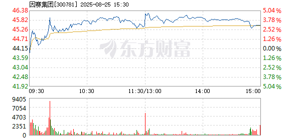 R图 300781_2