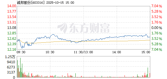 R图 603316_1