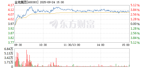 R图 600383_1