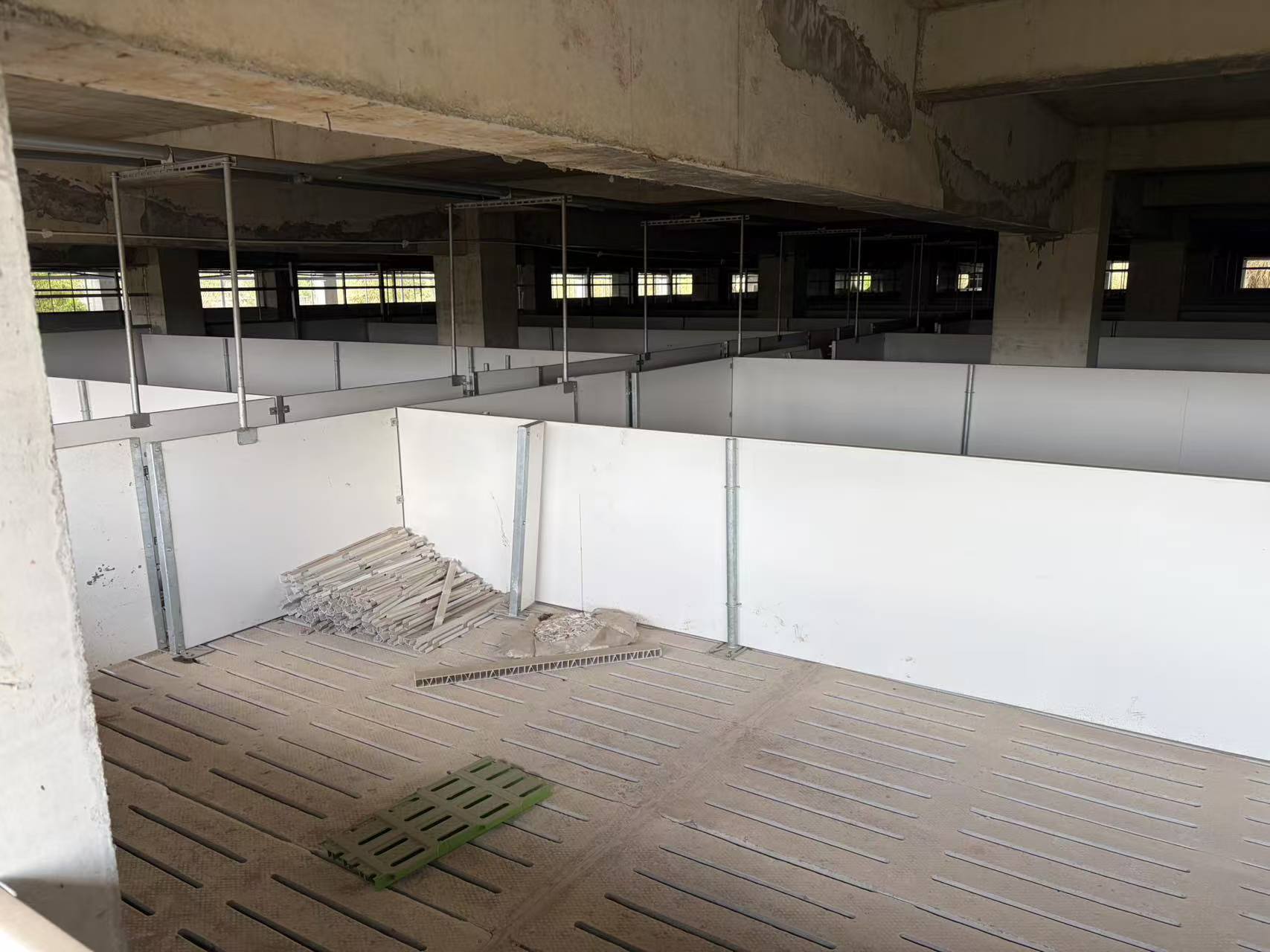 猪价跌至近15年低点 短视频热传“集团猪场倒闭潮” 真相如何？