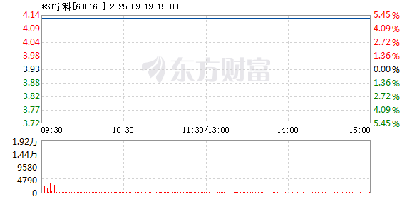R图 600165_1