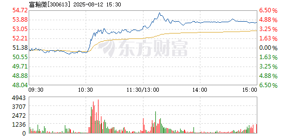 R图 300613_2