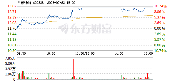 R图 600338_1