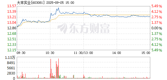 R图 603081_1