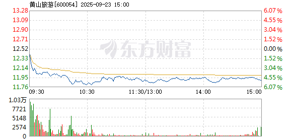 R图 600054_1
