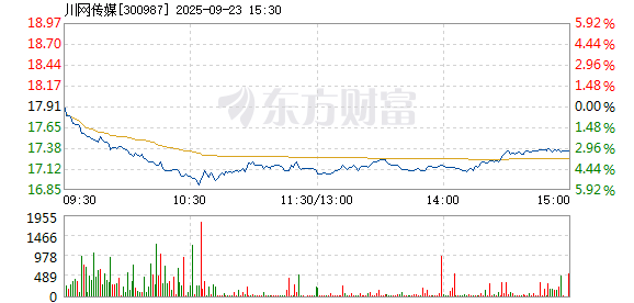 R图 300987_2