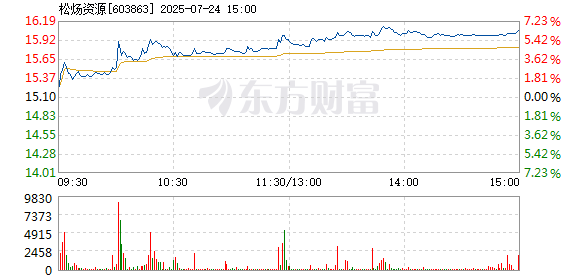 R图 603863_1