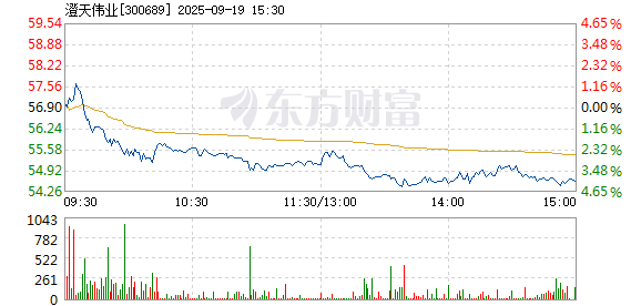 R图 300689_2