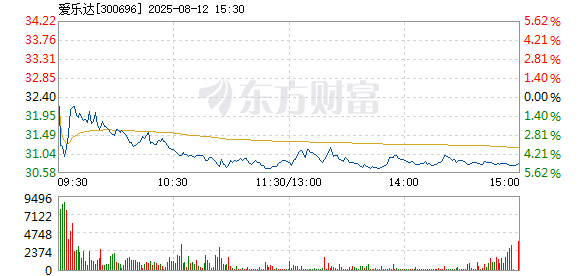 R图 300696_2