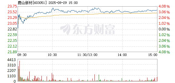 R图 603051_1