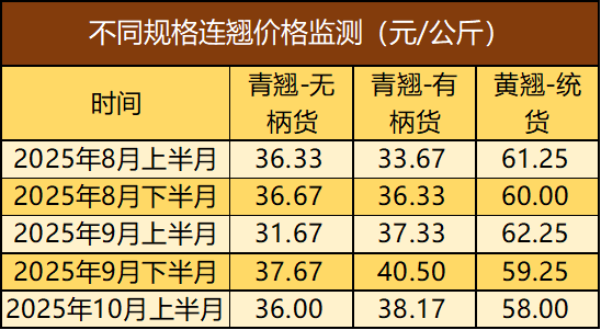 d287b8eac3f94873a394f6a7d1b3cbd1.png d287b8eac3f94873a394f6a7d1b3cbd1.png