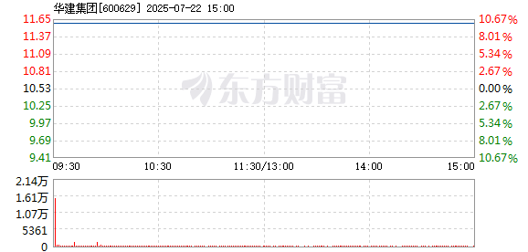 R图 600629_1