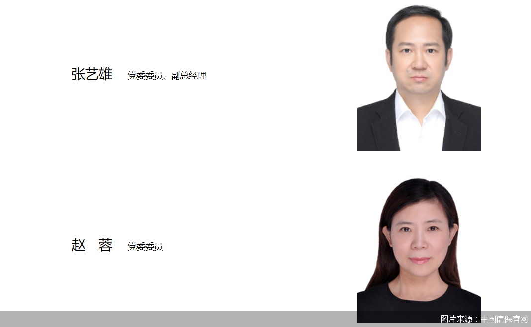 图片来源:中国信保官网