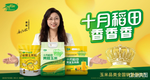 企业供图