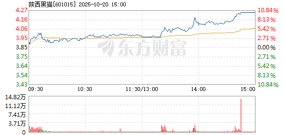 R图 601015_1