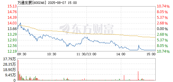 R图 600246_1
