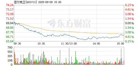 R图 603713_1