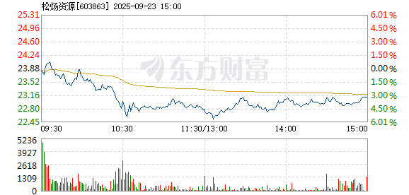 R图 603863_1