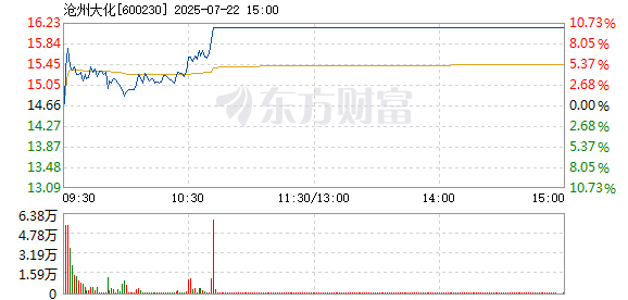 R图 600230_1